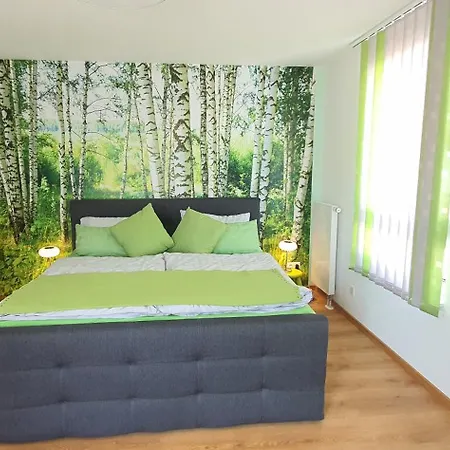 דירה Ein Haus Zum Traeumen בנסהיים